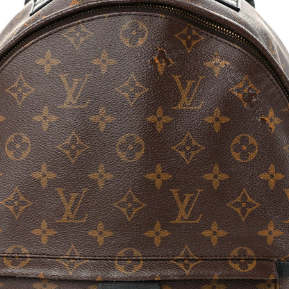 Monogram Palm Springs Backpack MM