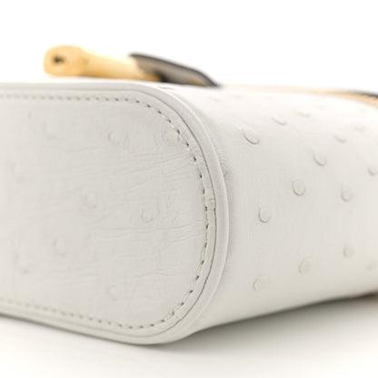 Ostrich Vanity Chain Pouch