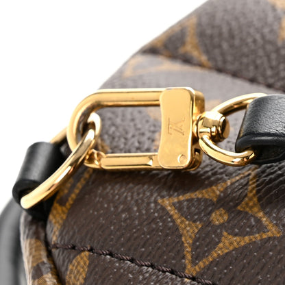 Monogram Palm Springs Backpack Mini