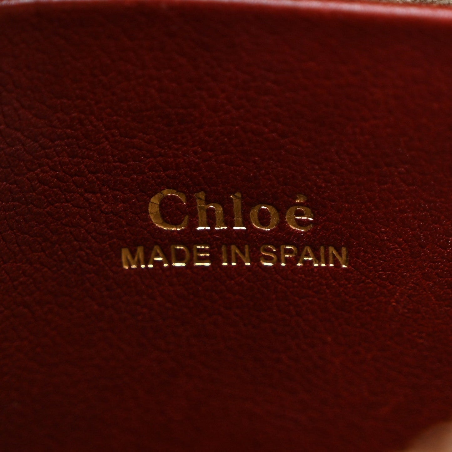 Grained Calfskin Nano Hayley Hobo Sienna Red