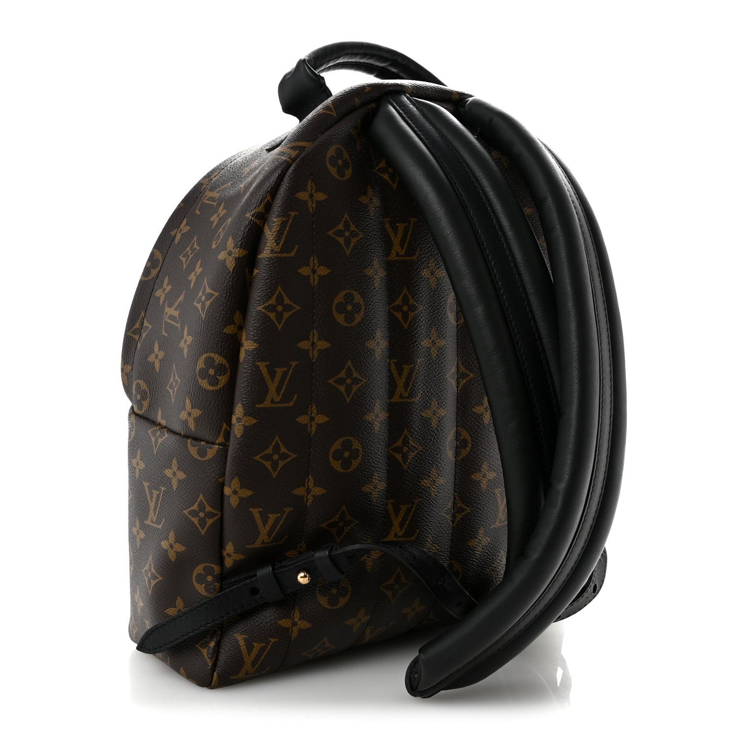 Monogram Palm Springs Backpack MM