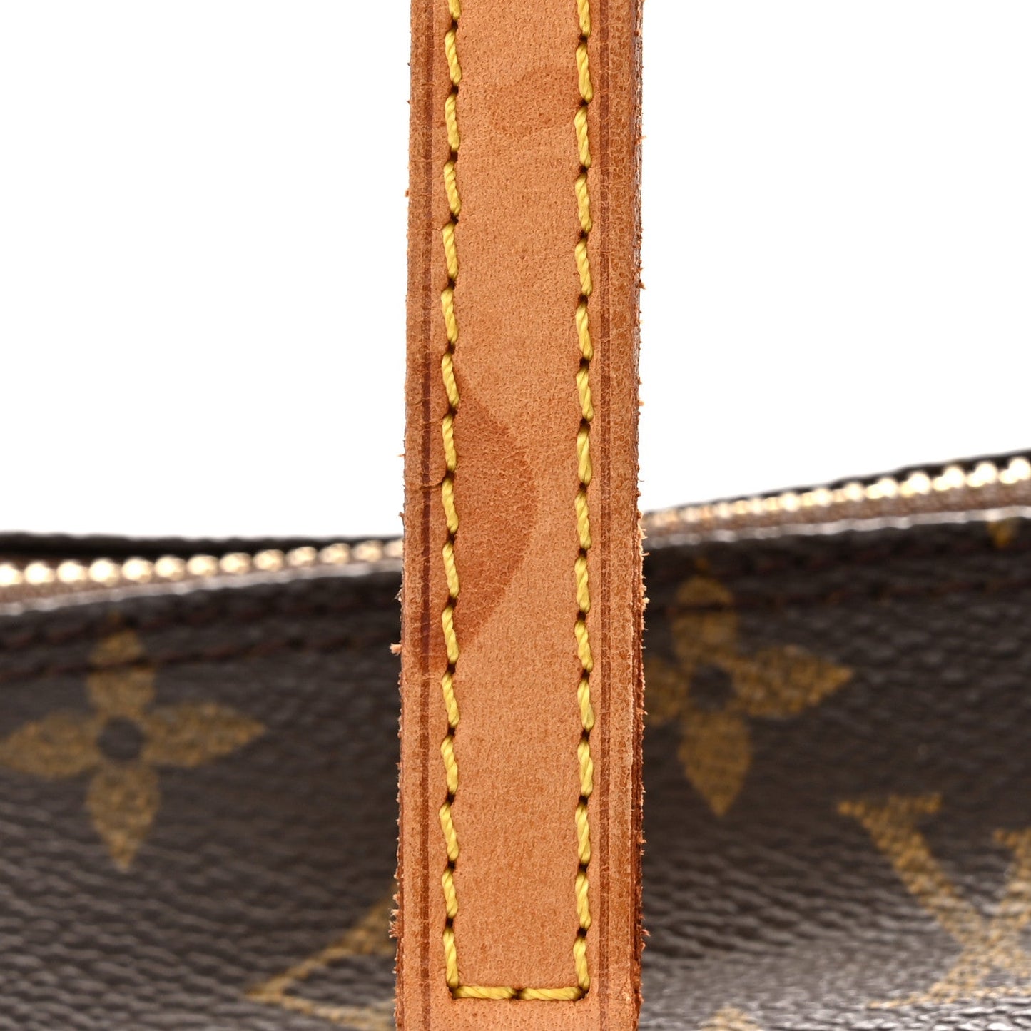 Monogram Papillon 30 with Companion