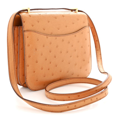 Ostrich Constance 18 Safran