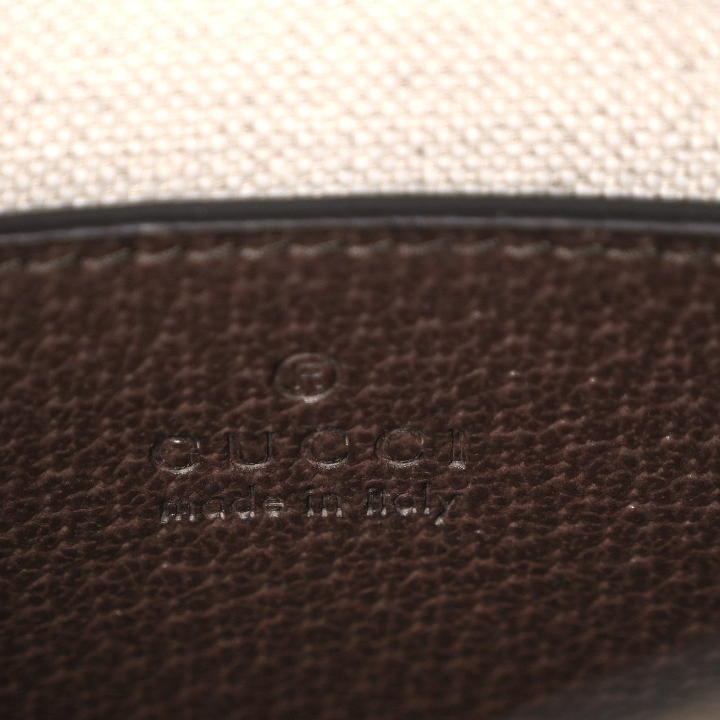 Monogram Jumbo GG Textured Dollar Calfskin Web Mini Vertical Tote Camel Ebony New Acero