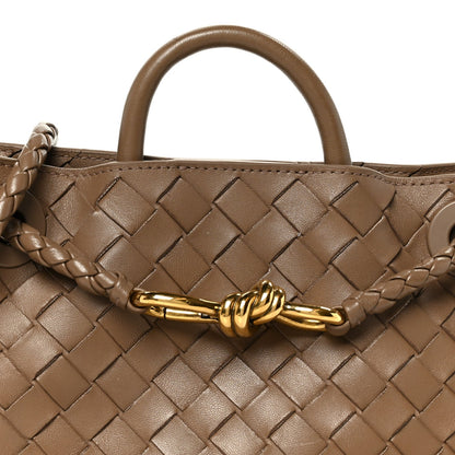 Nappa Intrecciato Small Andiamo Shoulder Bag Pinecone