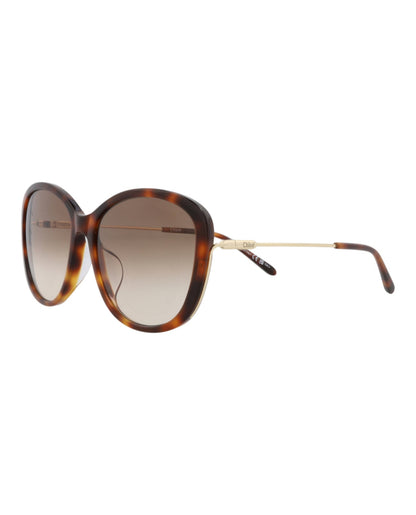 Chloé Womens Round/Oval Havana Gold Brown Fashion Designer Eyewear