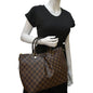 LOUIS VUITTON Siena MM Damier Ebene Shoulder Bag Brown
