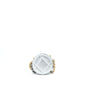 Chanel 19 Round Clutch With Chain Goatskin Silver Multicolour hardware