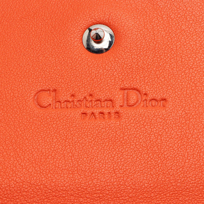 Dior Leather Addict Rendez Vous Wallet on Chain