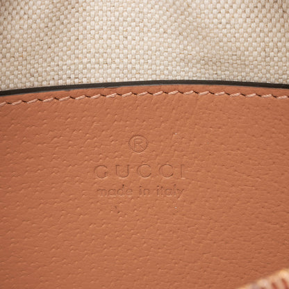 Gucci GG Canvas Ophidia Mini Shoulder Bag