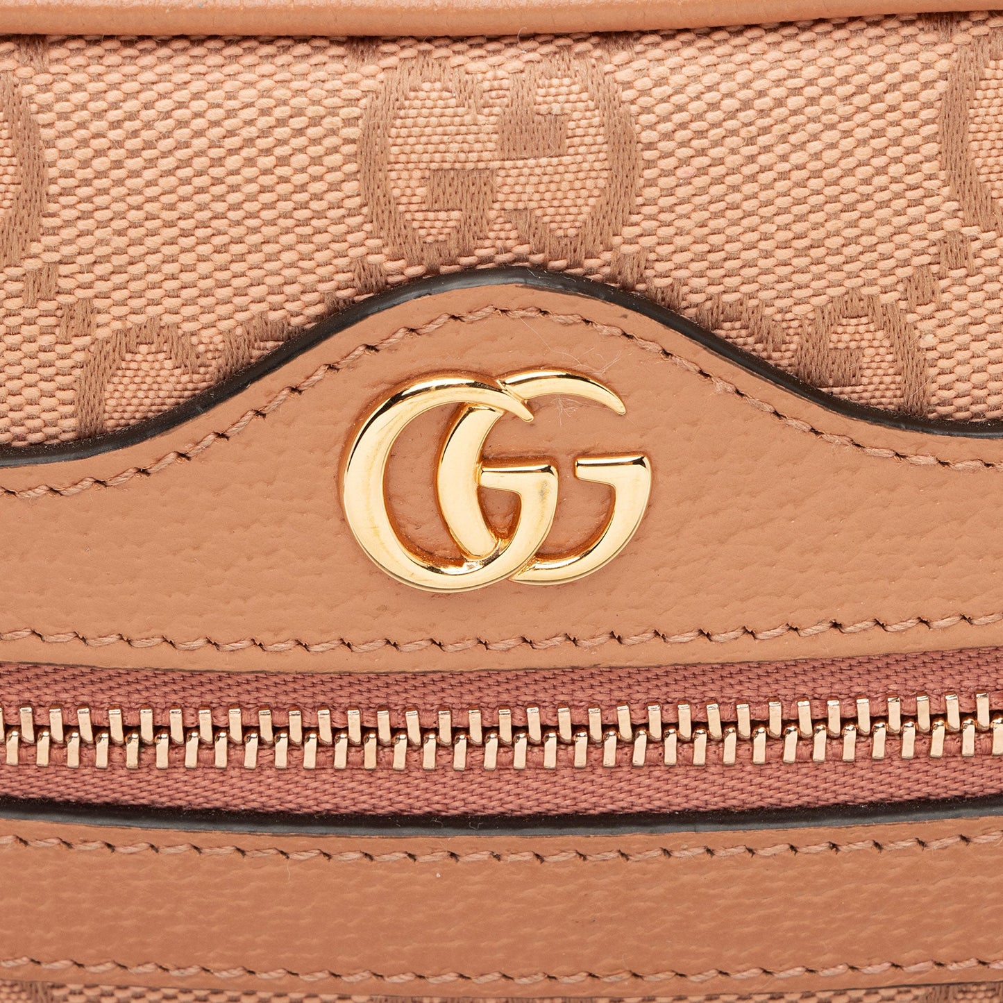 Gucci GG Canvas Ophidia Mini Shoulder Bag
