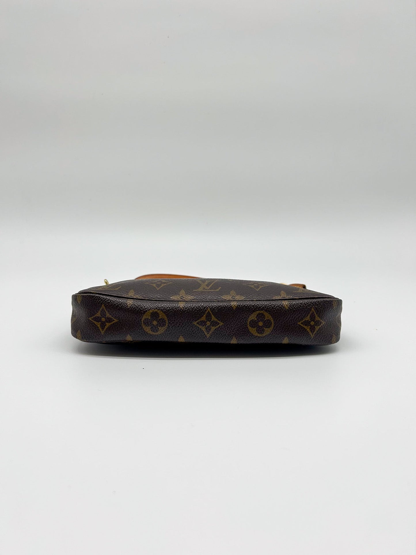 Louis Vuitton Pochette Accessoires Monogram Canvas