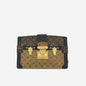 Louis Vuitton Trunk Clutch Souple