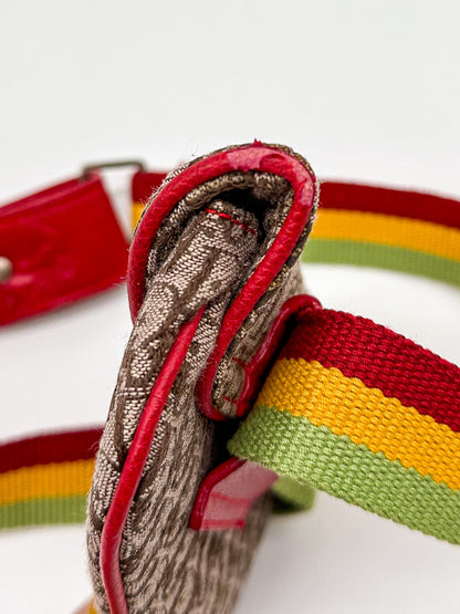 Christian Dior Rasta Saddle Belt Bag