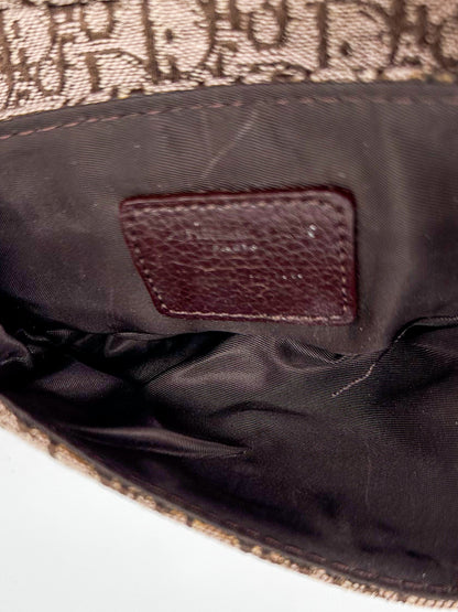 Christian Dior Rasta Saddle Belt Bag