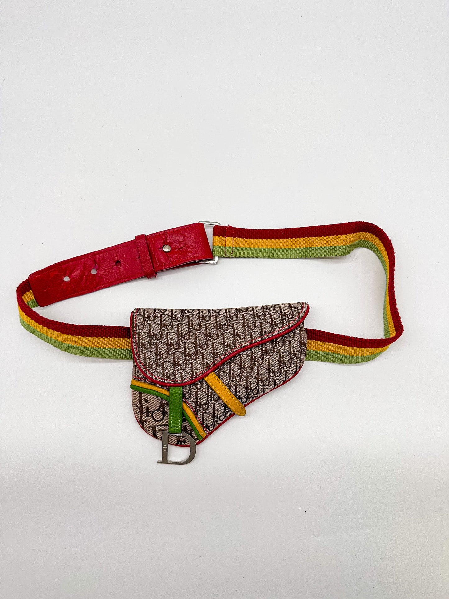Christian Dior Rasta Saddle Belt Bag