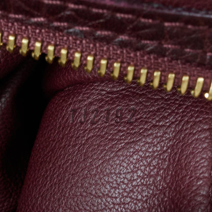 Louis Vuitto Exotique Majestueux Bordeaux Shoulder Bag