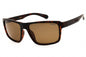 Polaroid Core PLD 2158/S Sunglasses
