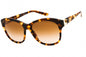Ralph Lauren 0RL8190Q Sunglasses