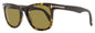 Tom Ford Kevyn Sunglasses TF1099 52J Dark Havana 52mm FT1099 Dark Havana