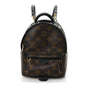Monogram Palm Springs Backpack Mini