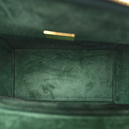 Grained Calfskin Micro Belt Bag Amazone