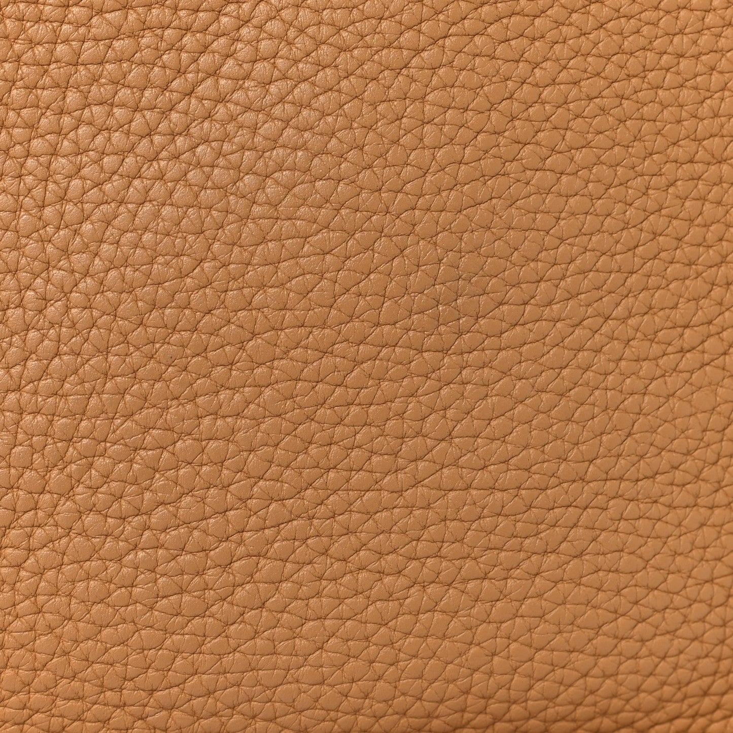 Taurillon Clemence Evelyne TPM Biscuit