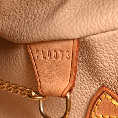 Monogram Petit Bucket 23