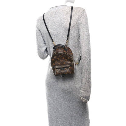 Monogram Palm Springs Backpack Mini