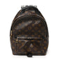 Monogram Palm Springs Backpack PM