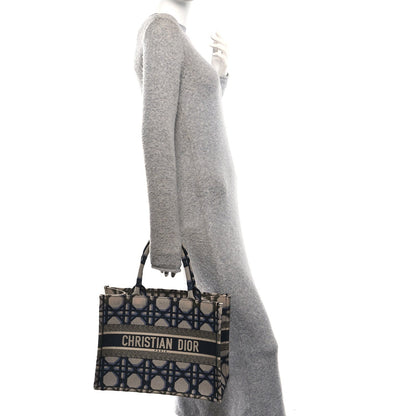 Canvas Macrocannage Embroidered Medium Book Tote Beige Blue