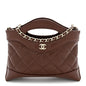 Shiny Crumpled Calfskin Quilted Nano 31 Shopping Bag Brown