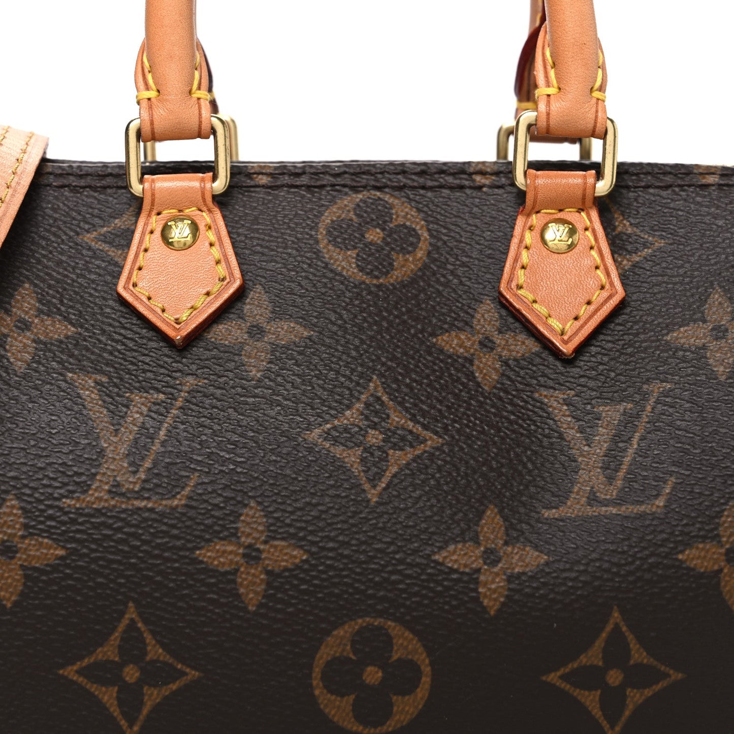 Monogram Nano Speedy