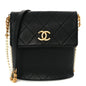 Calfskin Quilted Pearl Small About Pearls Hobo Bag Black