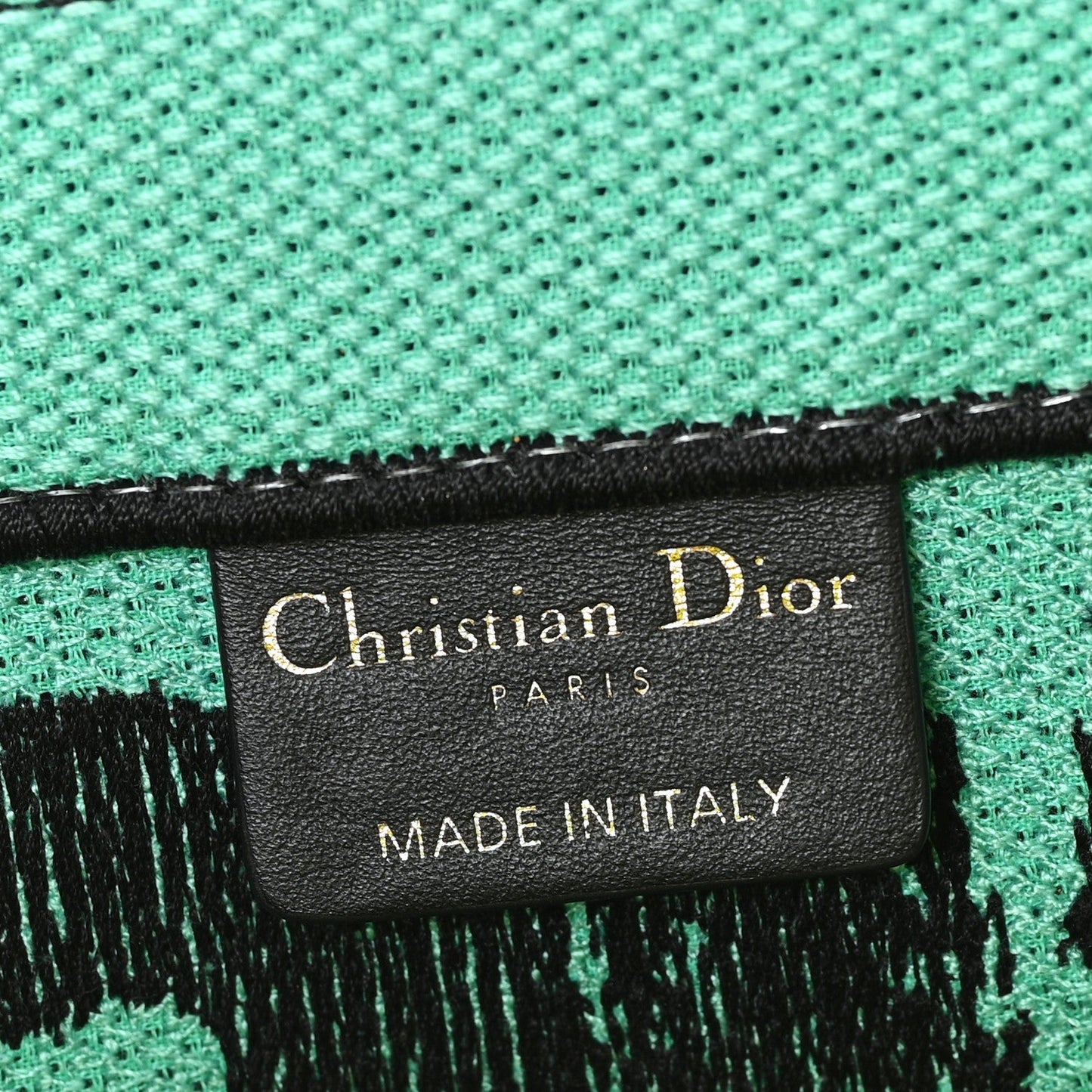 Canvas Embroidered Medium Miss Dior Graffiti Book Tote Green Blue