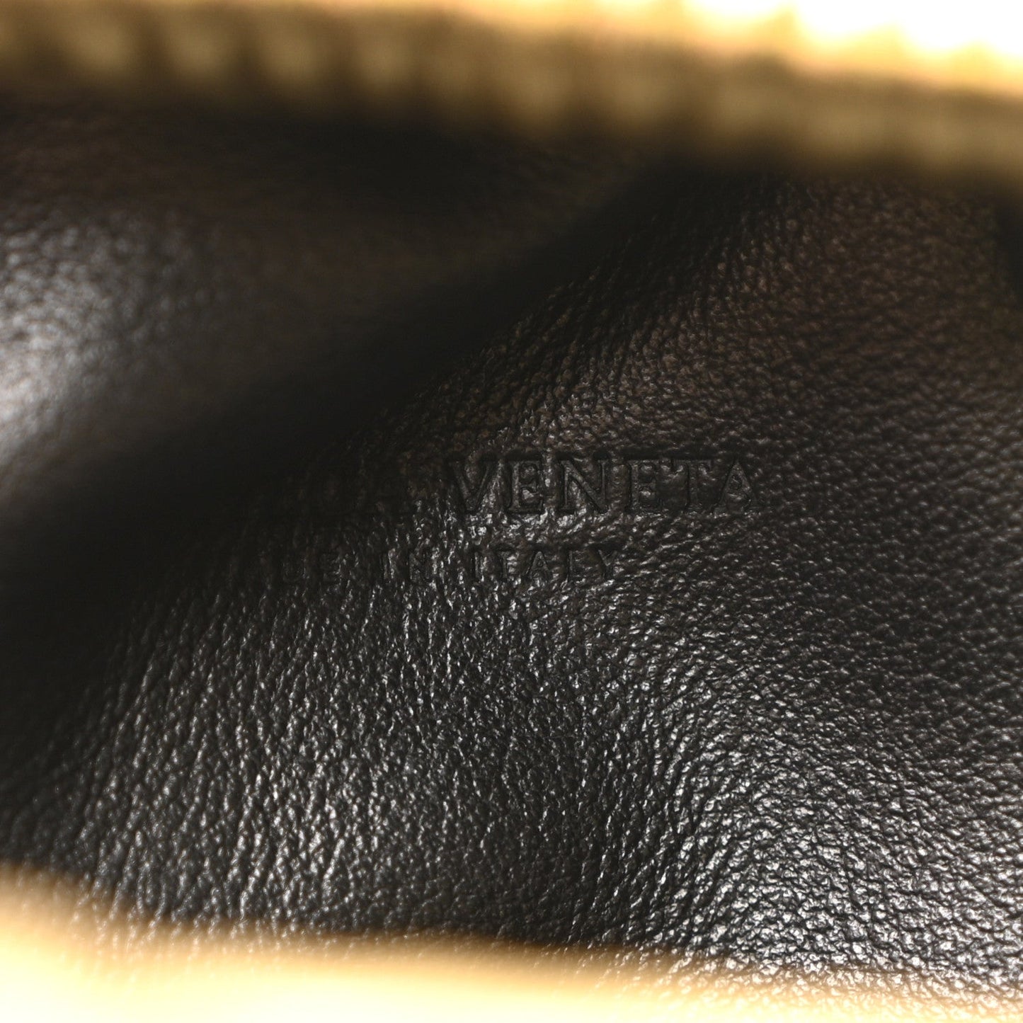 Metallic Bark Calfskin The Mini Pouch Gold