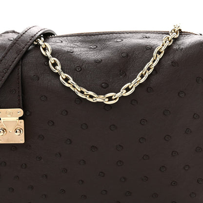 Ostrich Side Trunk MM Marron