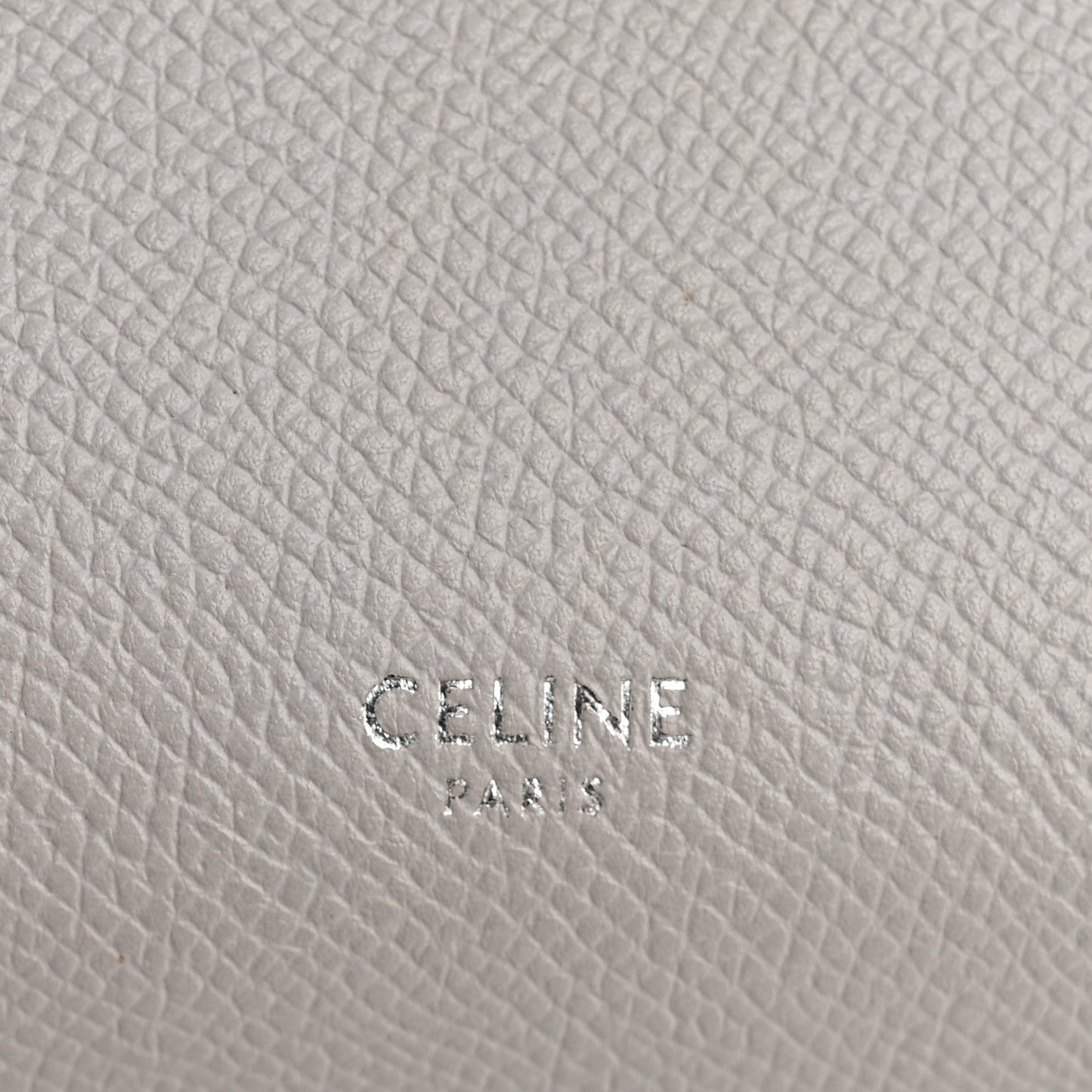 Grained Calfskin Nano Belt Bag Mineral