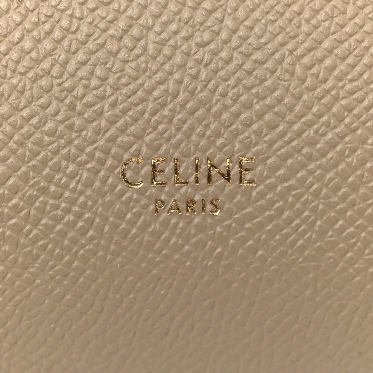 Grained Calfskin Nano Belt Bag Light Taupe
