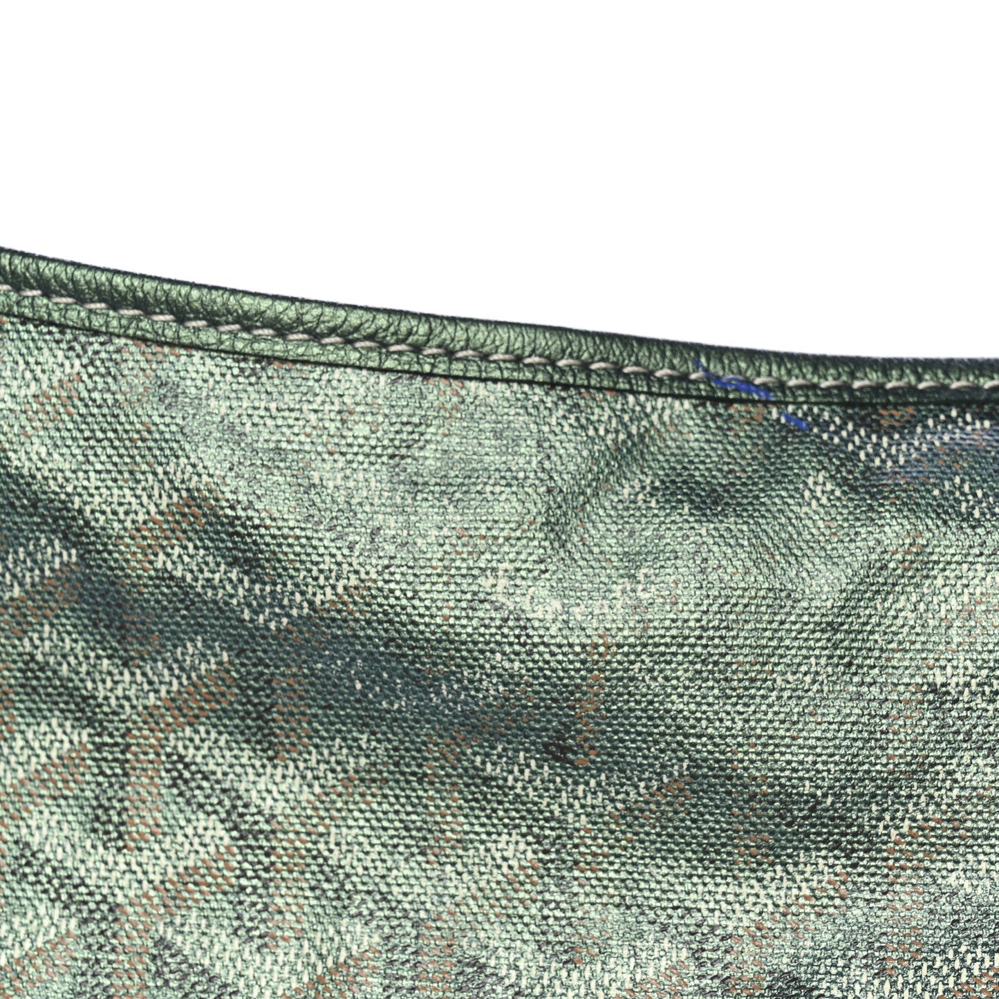 Iridescent Goyardine Boheme Hobo Pearly Green