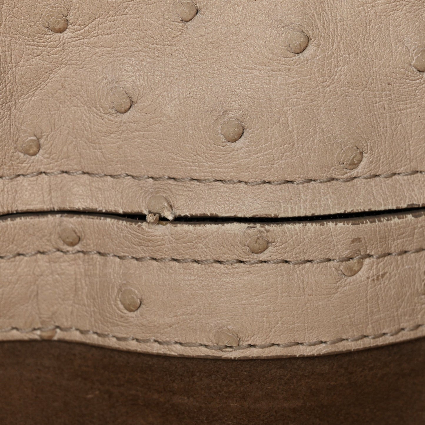 Ostrich Small Roma Tote Limestone