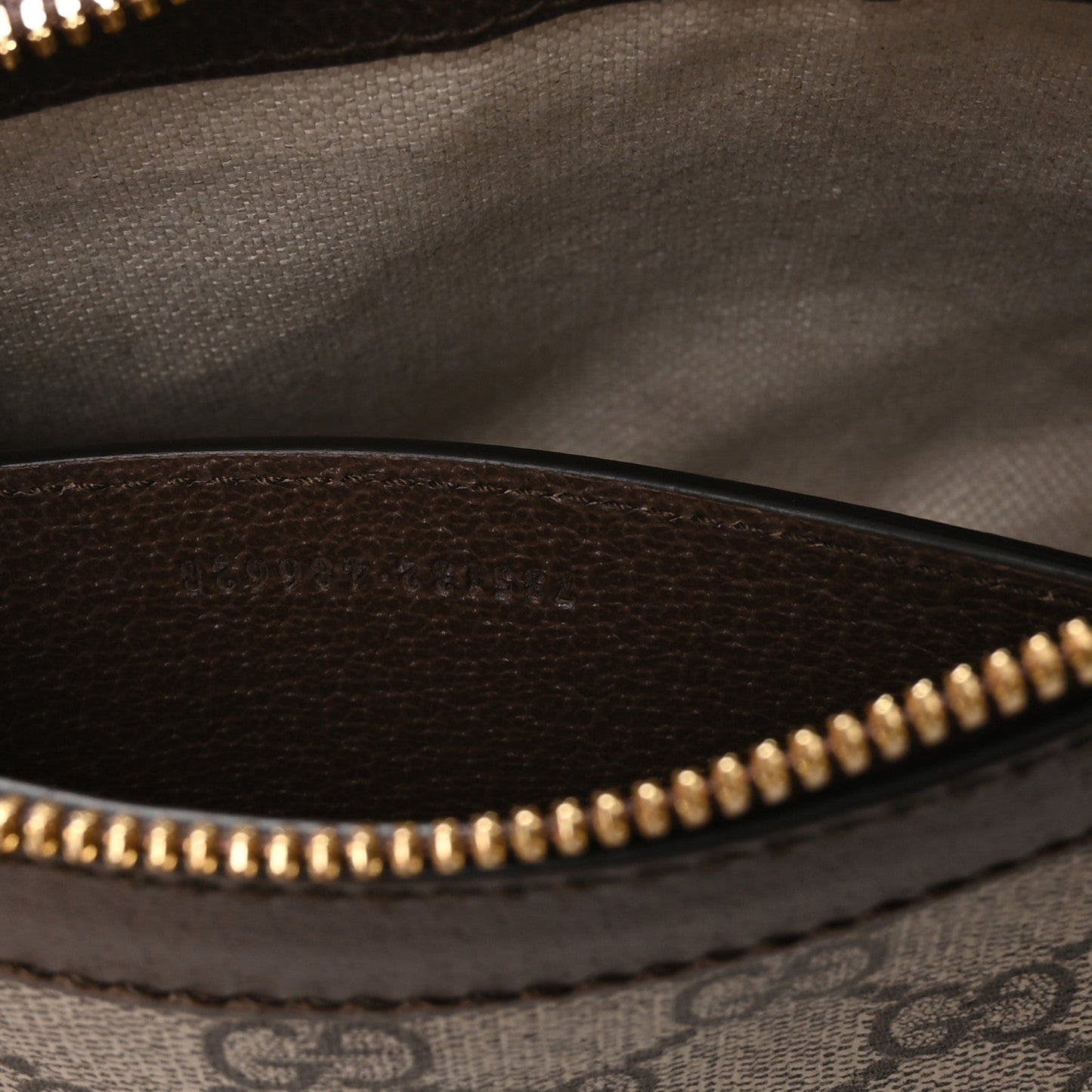 GG Supreme Monogram Textured Dollar Calfskin Web Small Ophidia GG Handbag Beige Ebony New Acero