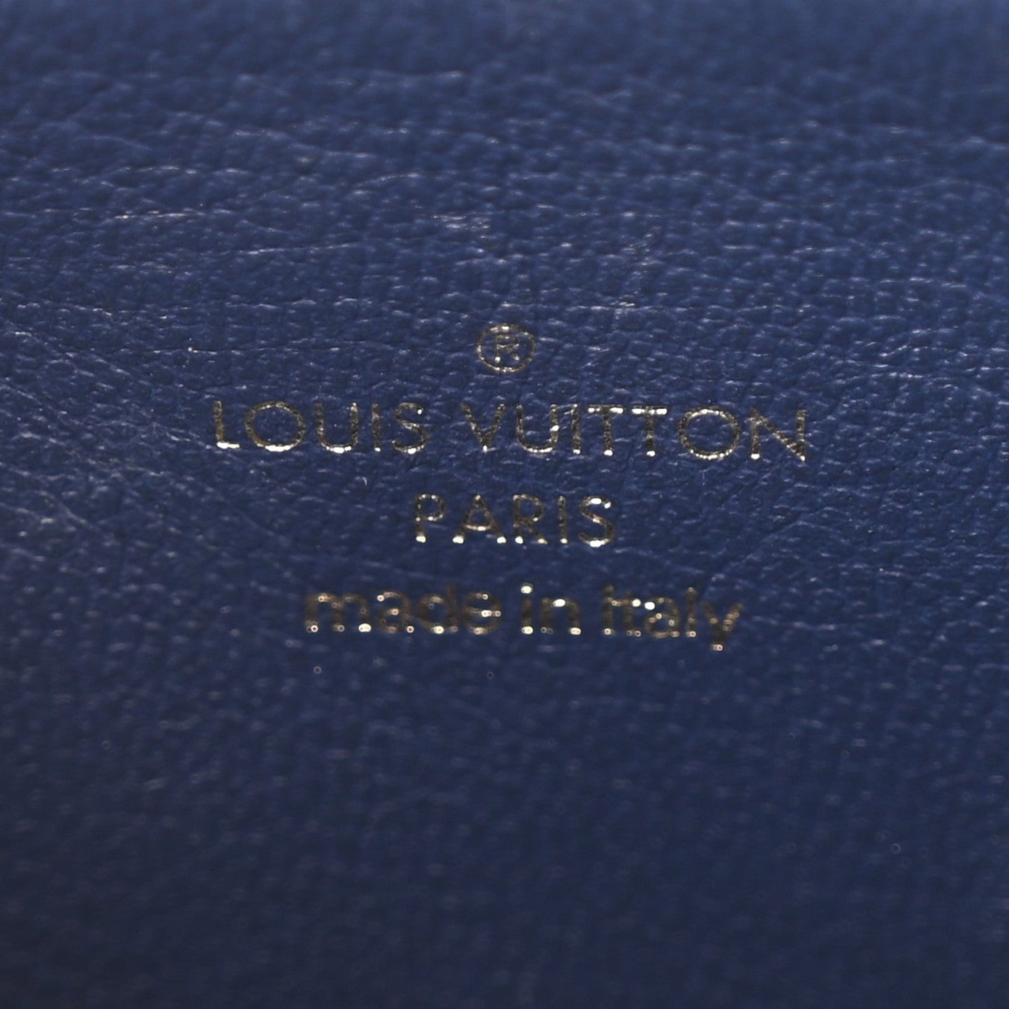 Lambskin Embossed Monogram Coussin PM Camel