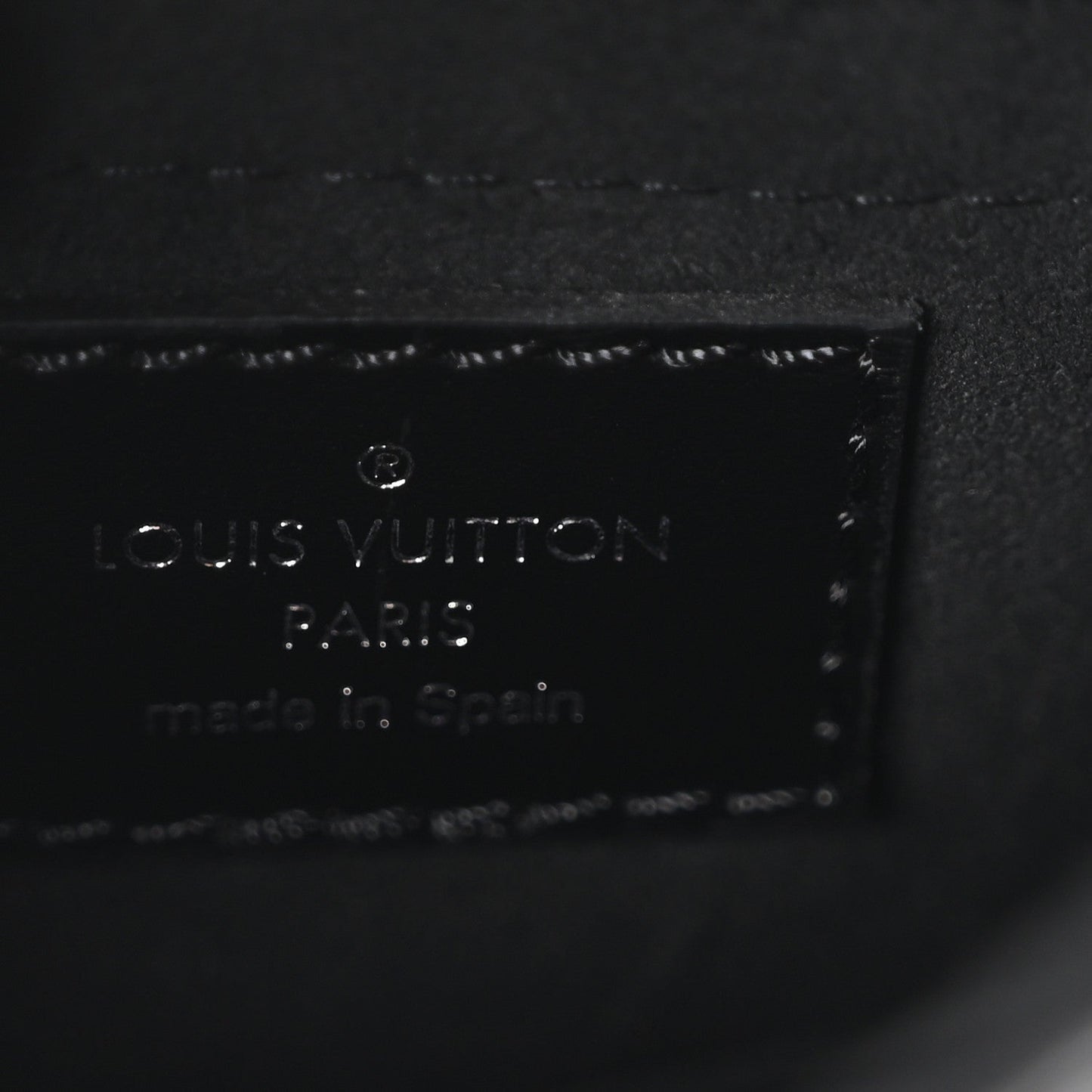 Calfskin Monogram Camera Box Vibe Black