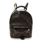 Monogram Palm Springs Backpack Mini