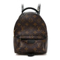 Monogram Palm Springs Backpack Mini