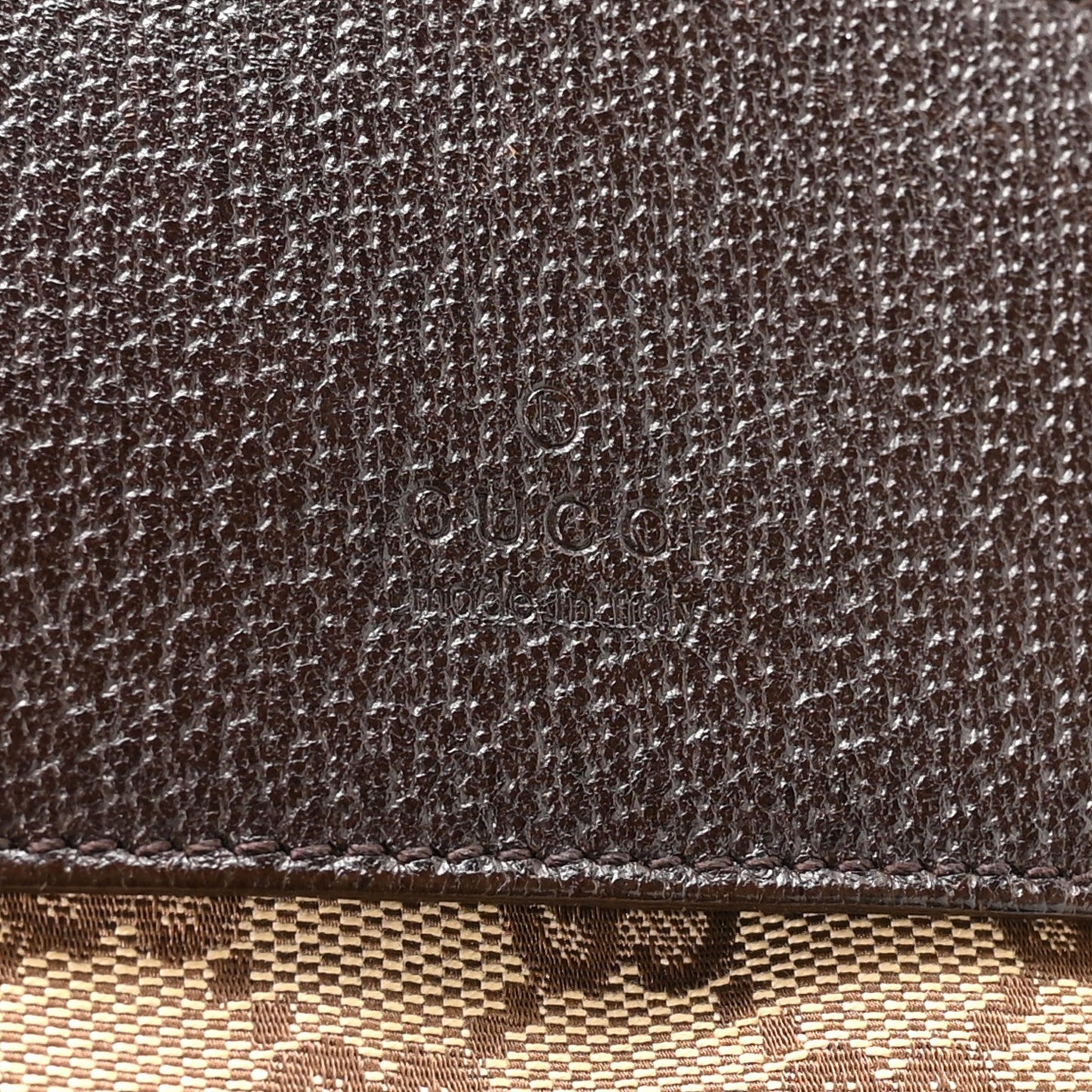 Monogram Web Belt Bag Dark Brown