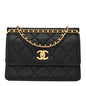 Caviar Quilted Small Chain Frame Flap Black