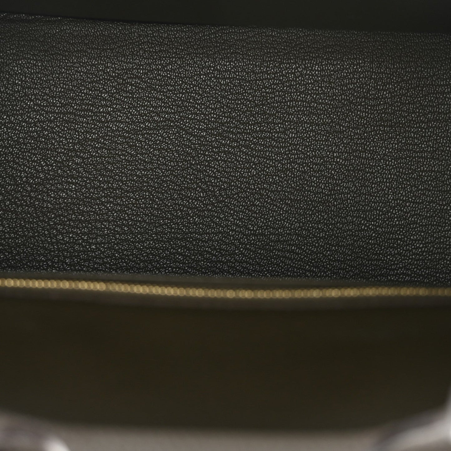 Togo Birkin 25 Eucalyptus