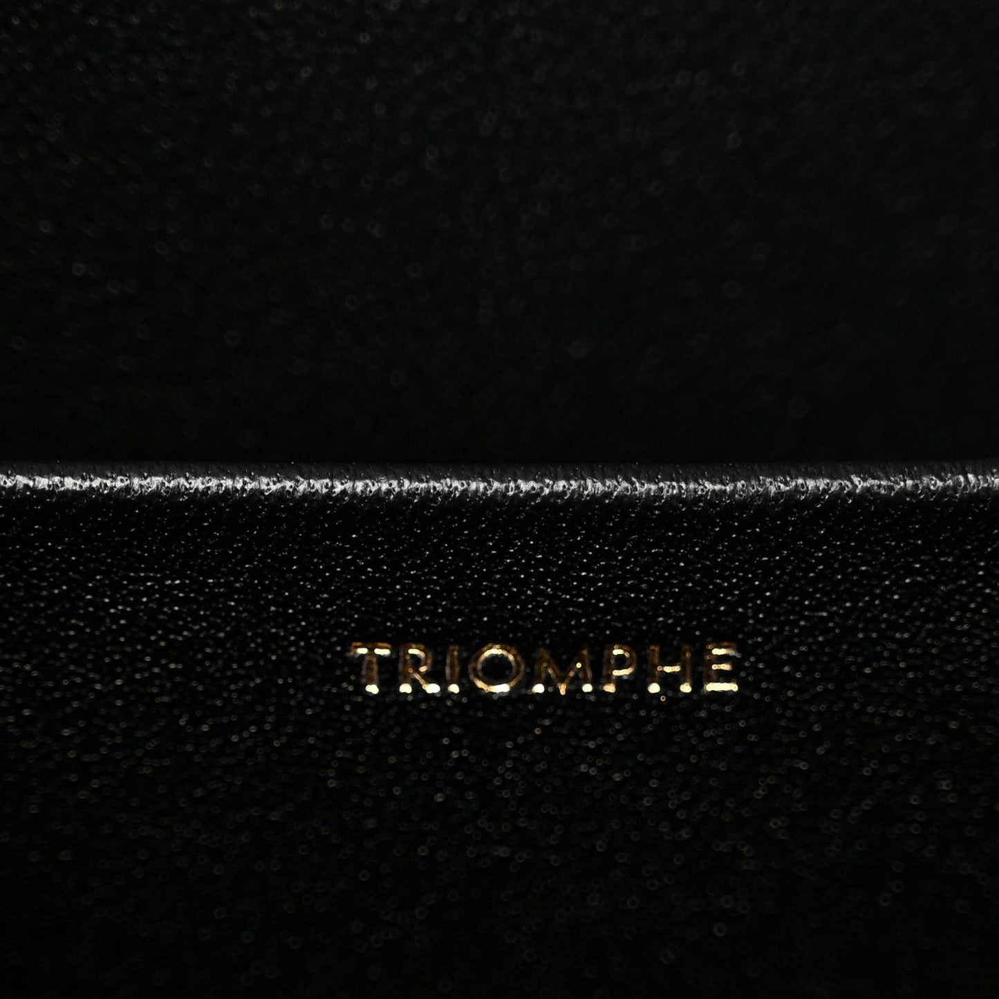 Shiny Calfskin Medium Triomphe Black